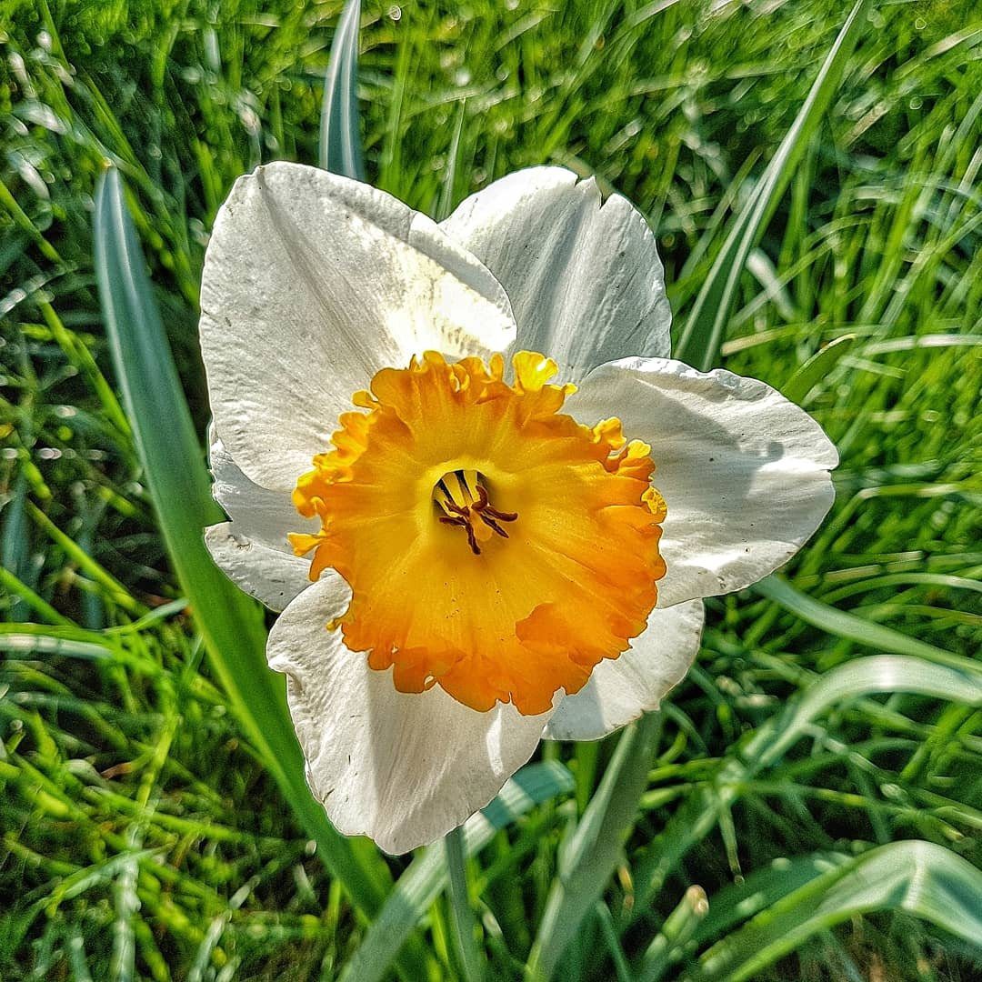 Pure Nature - Fechtel